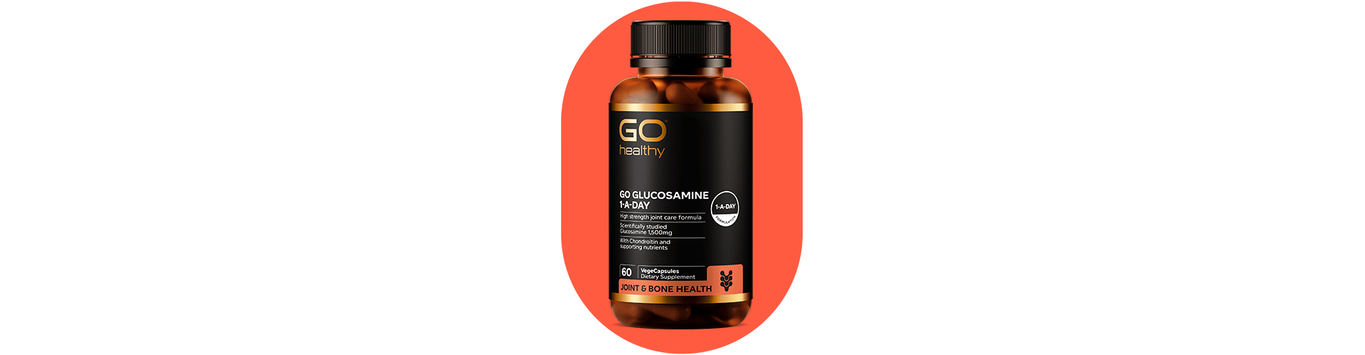 GO Glucosamine 1-A-DAY