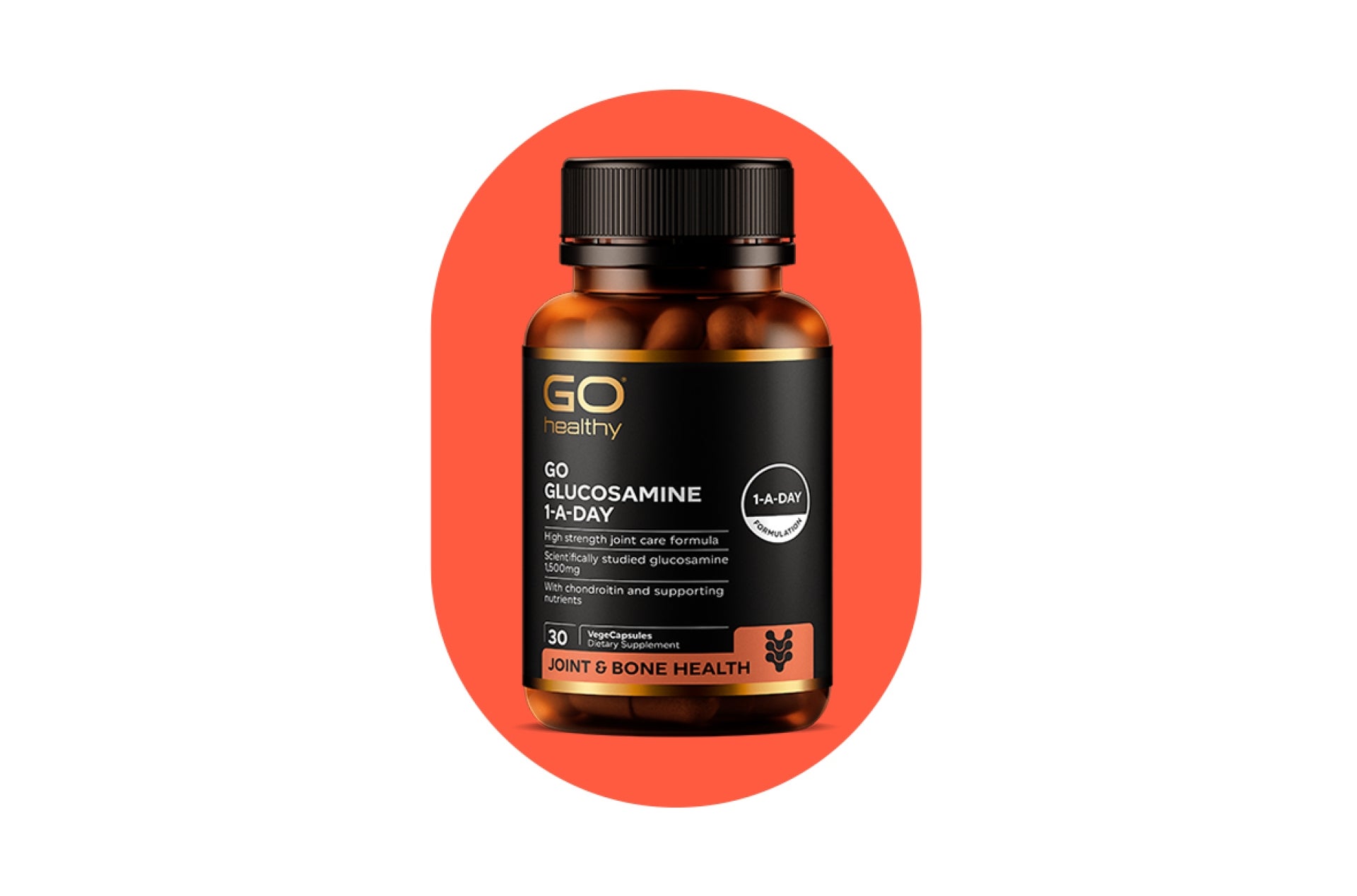 GO GLUCOSAMINE 1-A-DAY